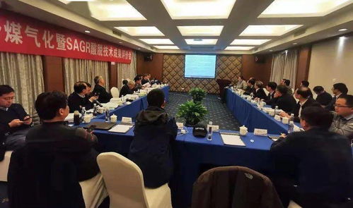 高灰熔點(diǎn)劣質(zhì)煤高效氣化關(guān)鍵技術(shù)開(kāi)發(fā)及應(yīng)用成果通過(guò)評(píng)審