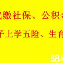西安金領人力資源信息咨詢服務有限責任公司 專業信息咨詢服務的全面解析